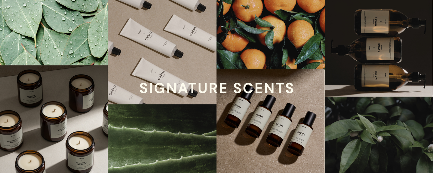 Signature Scents