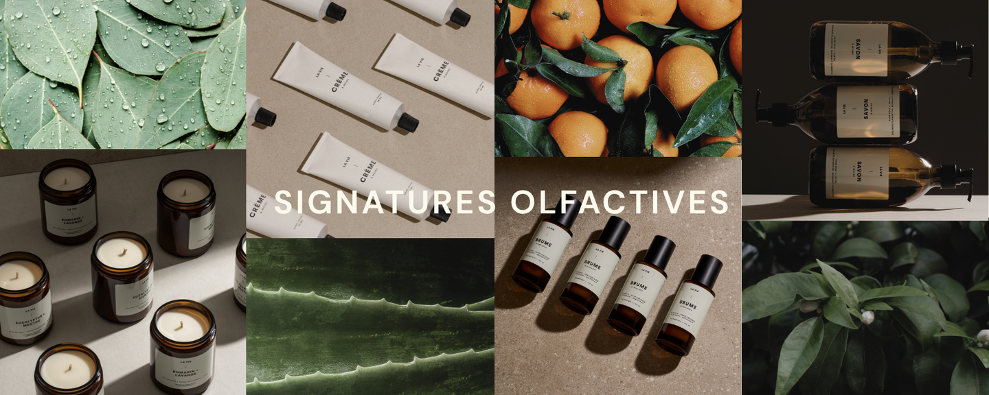 Signature Olfactives